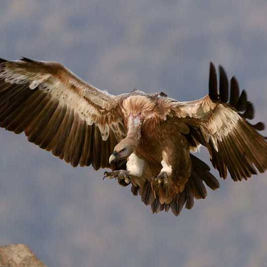 优秀的ddos攻击ip软件下载